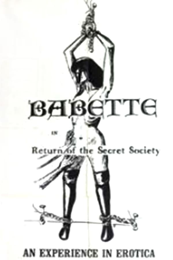 Cover of the movie Return of the Secret Society