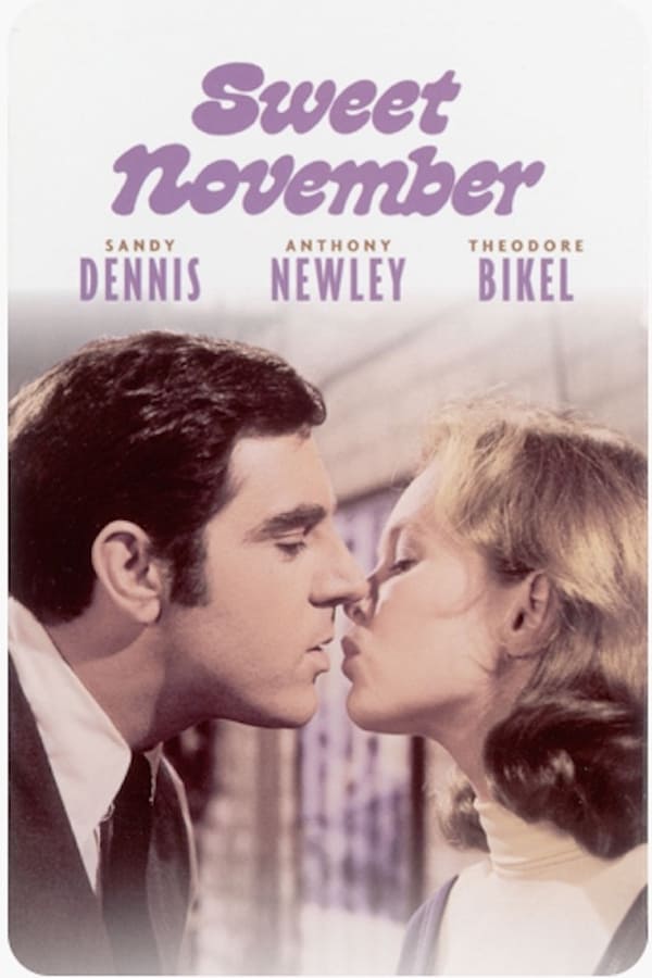 Cover of the movie Sweet November