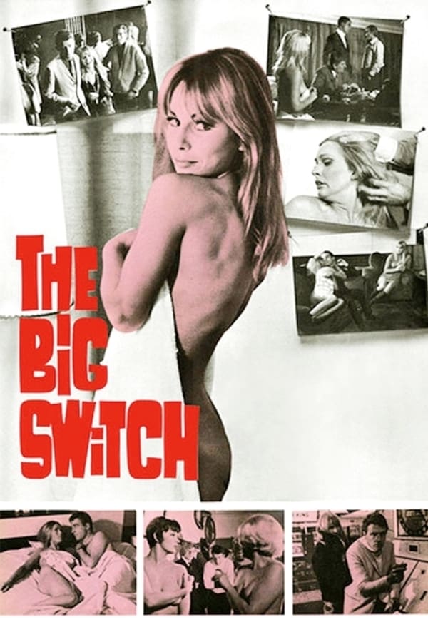 Cover of the movie The Big Switch
