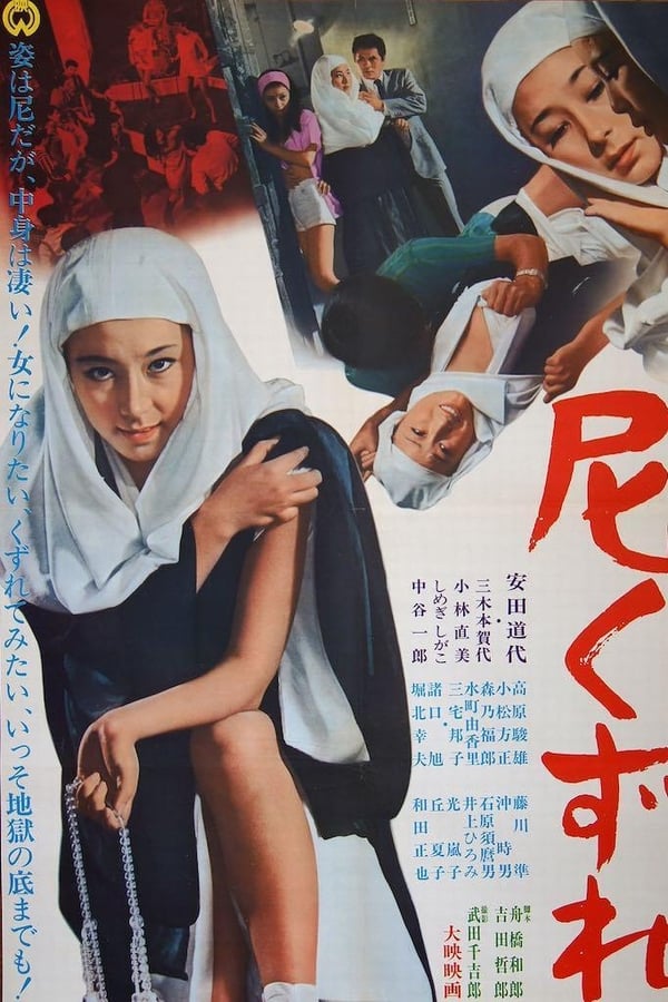Cover of the movie The Daring Nun