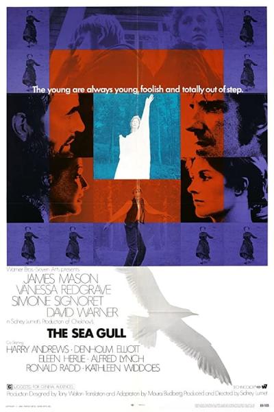 Cover of the movie The Sea Gull