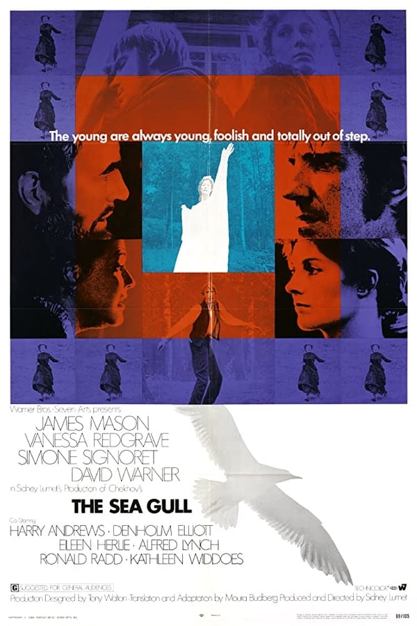 Cover of the movie The Sea Gull