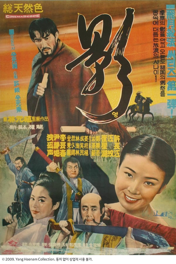Cover of the movie The Shadow