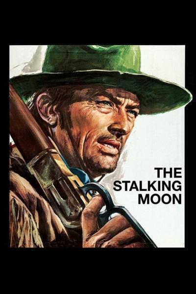 Cover of The Stalking Moon
