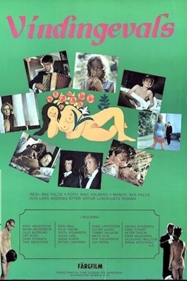 Cover of the movie Vindingevals