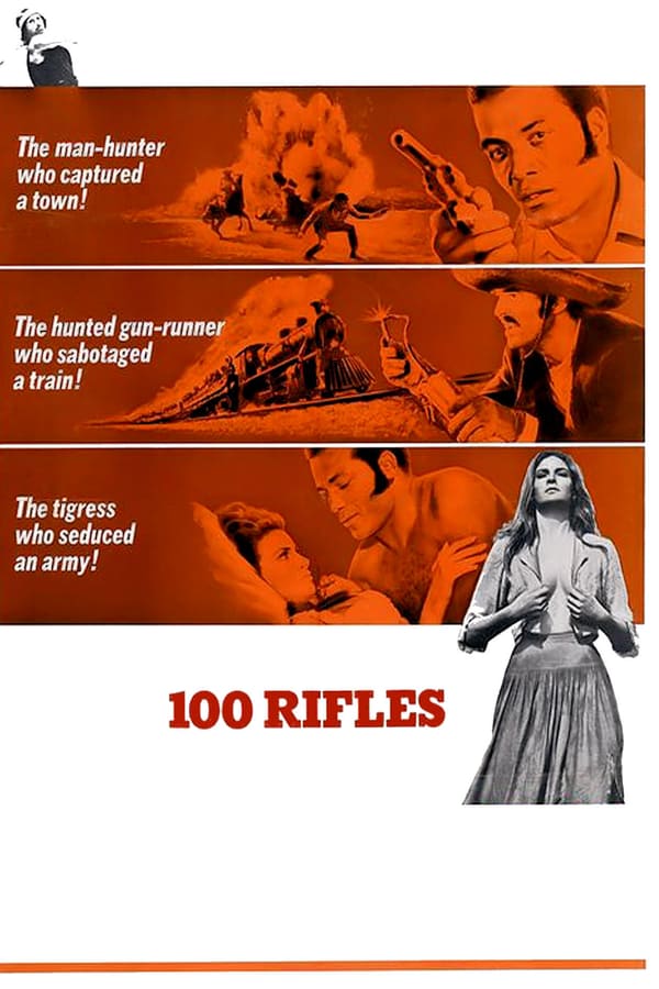Cover of the movie 100 Rifles