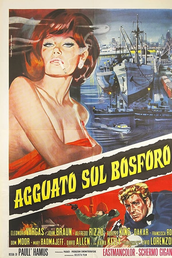 Cover of the movie Agguato sul Bosforo