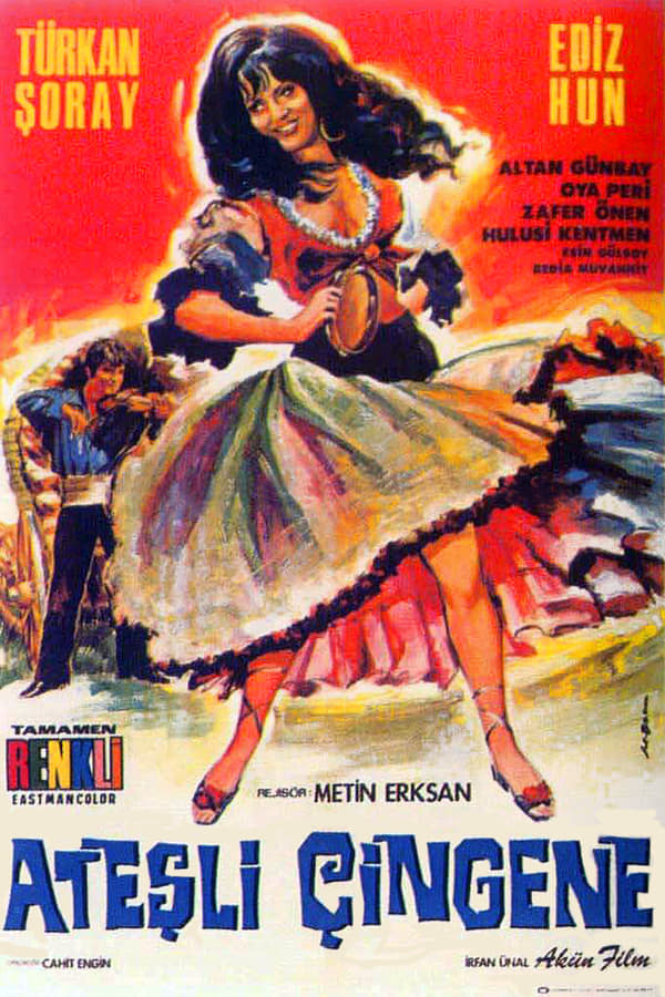 Cover of the movie Ateşli Çingene
