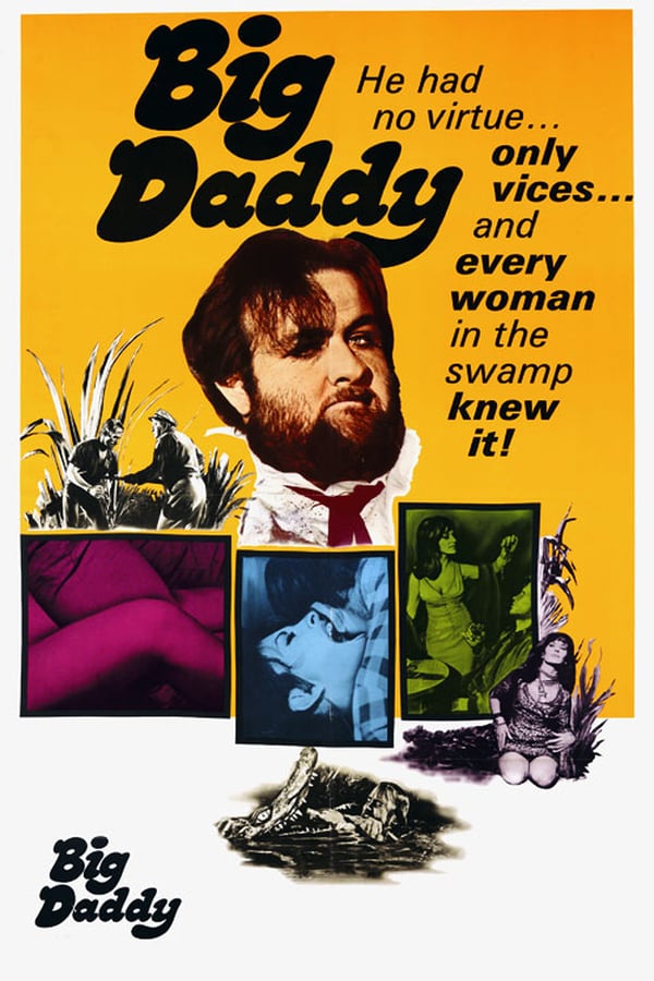 Cover of the movie Big Daddy