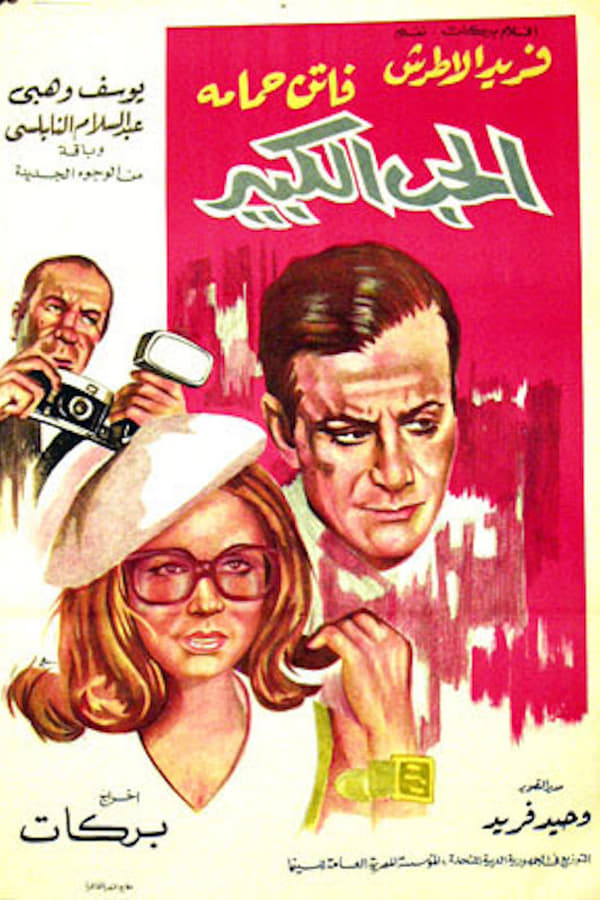 Cover of the movie Big Love