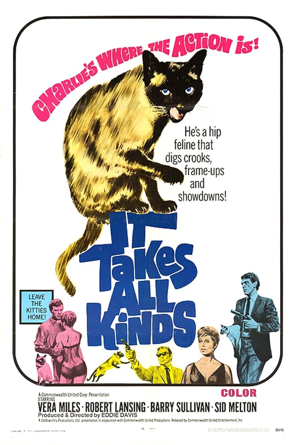 Cover of the movie It Takes All Kinds