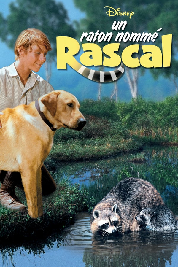 Cover of the movie Rascal