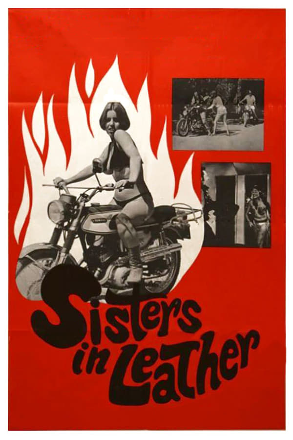 Cover of the movie Sisters in Leather