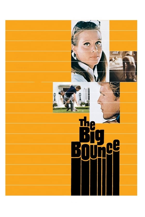 Cover of the movie The Big Bounce