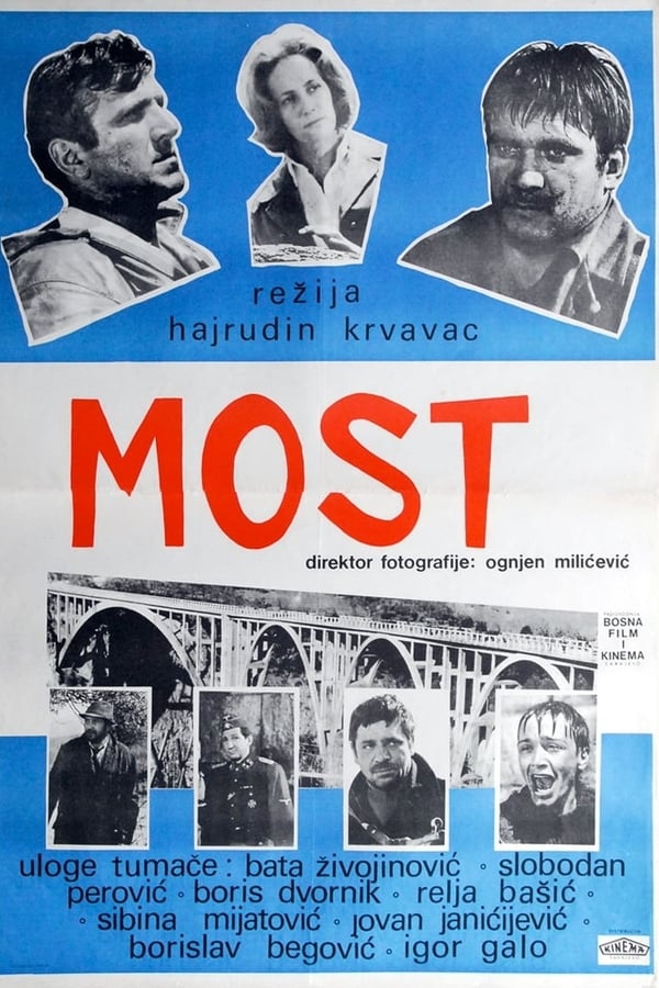 Cover of the movie The Bridge