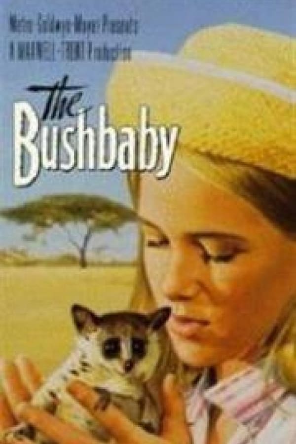 Cover of the movie The Bushbaby