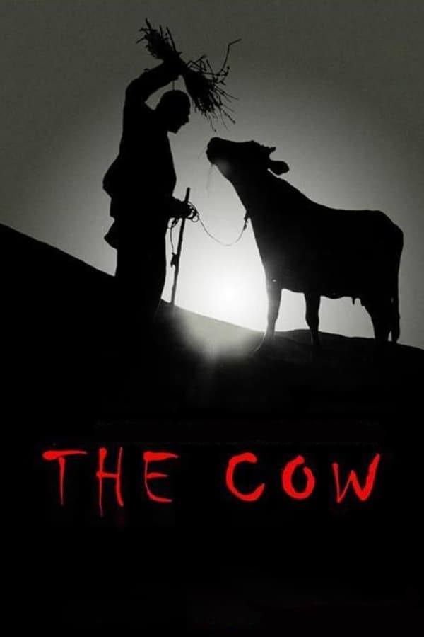Cover of the movie The Cow