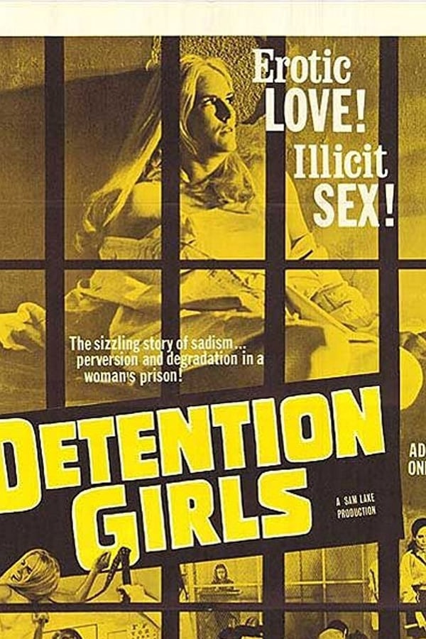 Cover of the movie The Detention Girls