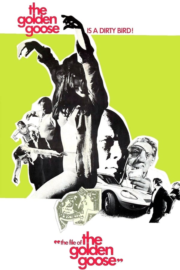 Cover of the movie The File of the Golden Goose