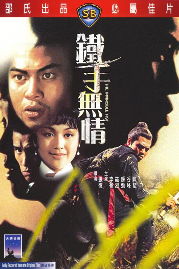 Cover of the movie The Invincible Fist