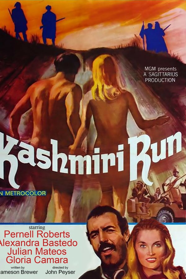 Cover of the movie The Kashmiri Run