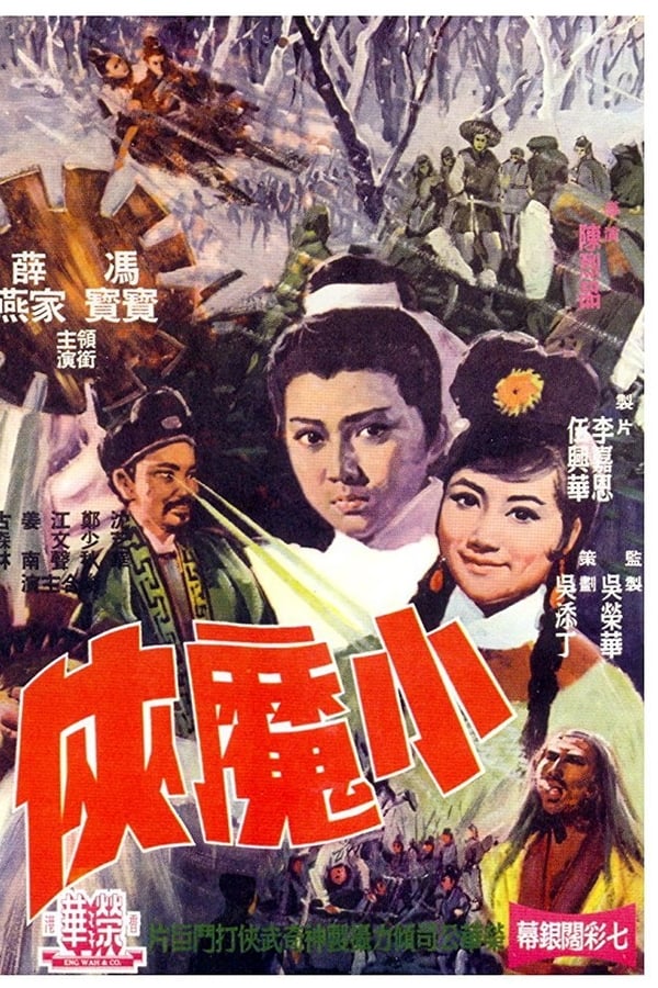 Cover of the movie The Little Warrior