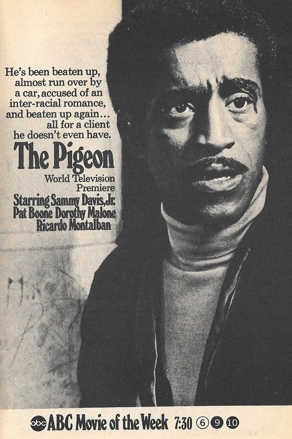Cover of the movie The Pigeon