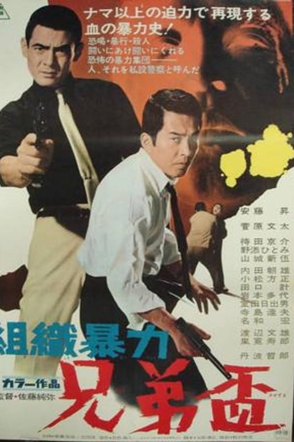 Cover of the movie The Private Police