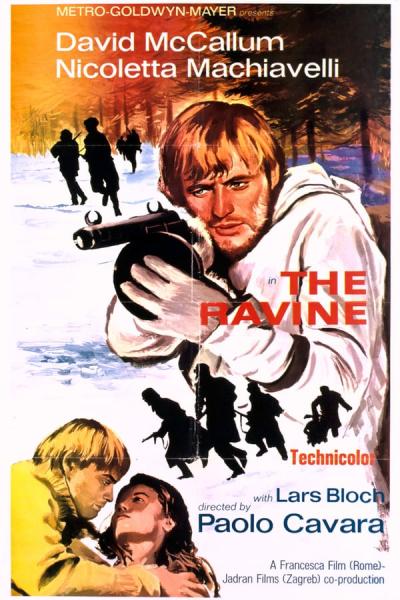 Cover of the movie The Ravine