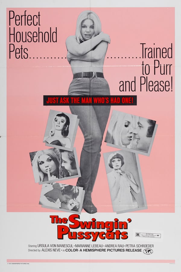 Cover of the movie The Swingin' Pussycats