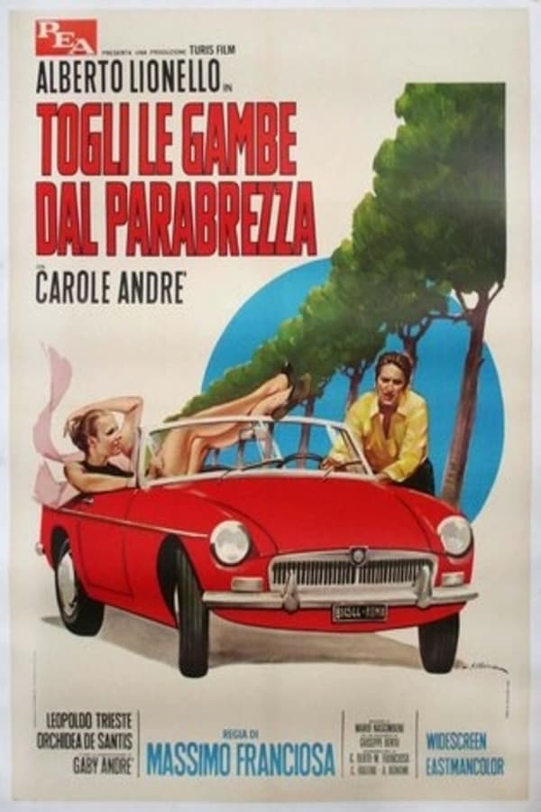 Cover of the movie Togli le gambe dal parabrezza