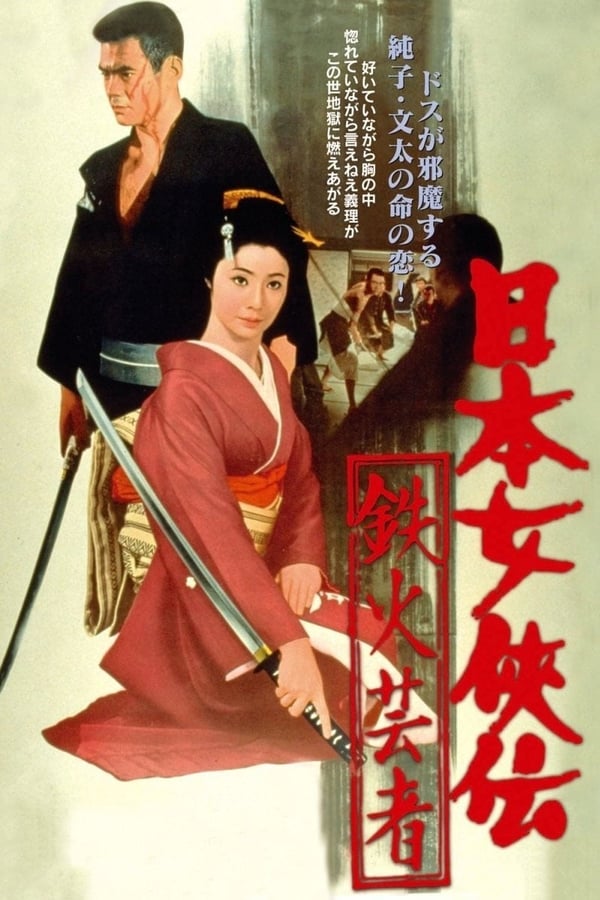 Cover of the movie A Lively Geisha