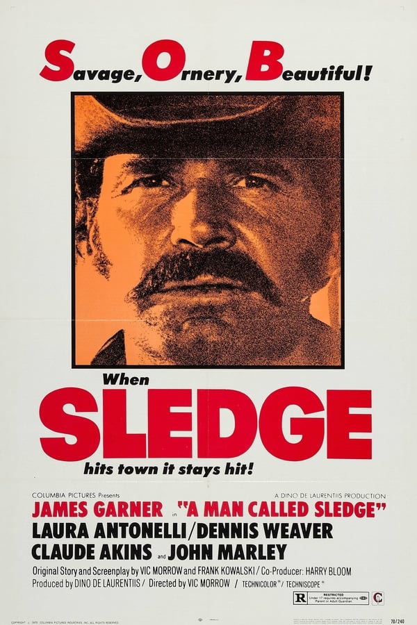 Cover of the movie A Man Called Sledge