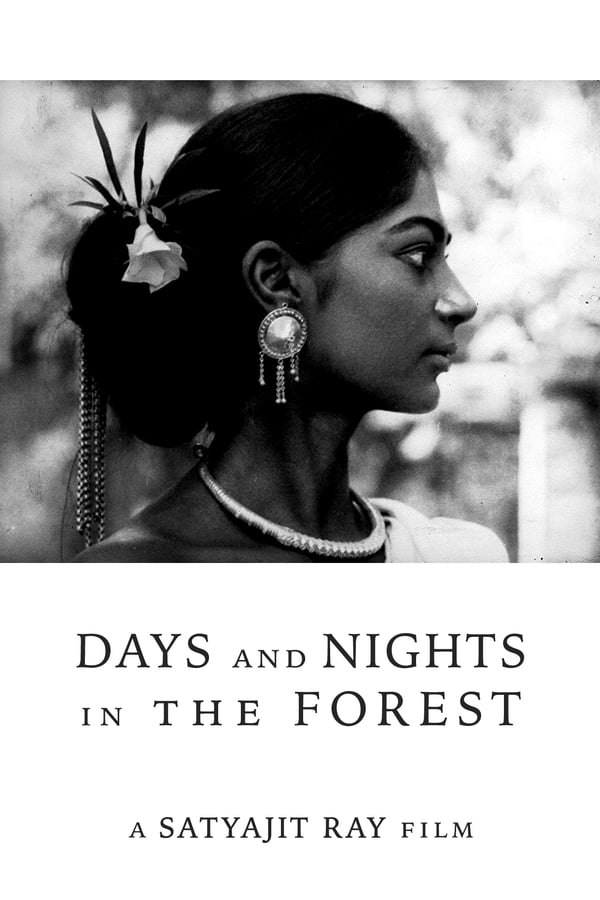Cover of the movie Days and Nights in the Forest