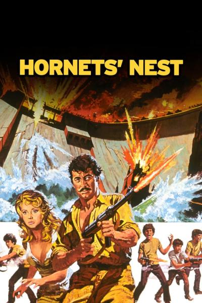 Cover of the movie Hornet's Nest