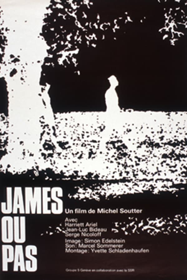 Cover of the movie James ou pas
