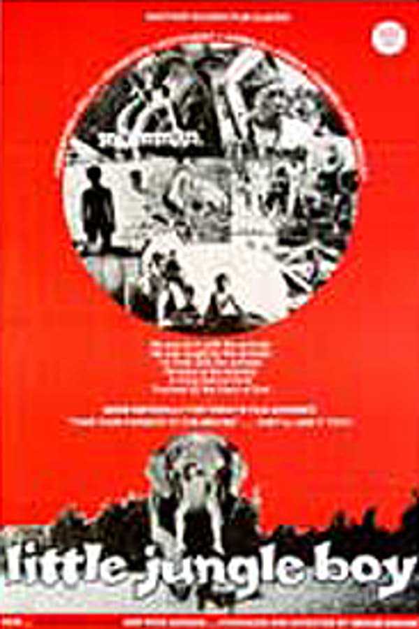 Cover of the movie Little Jungle Boy