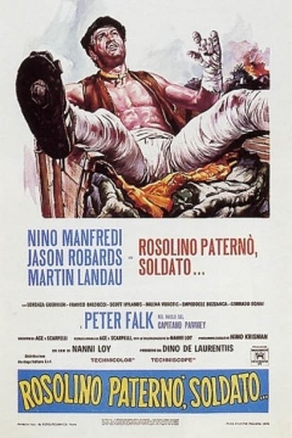 Cover of the movie Operation Snafu