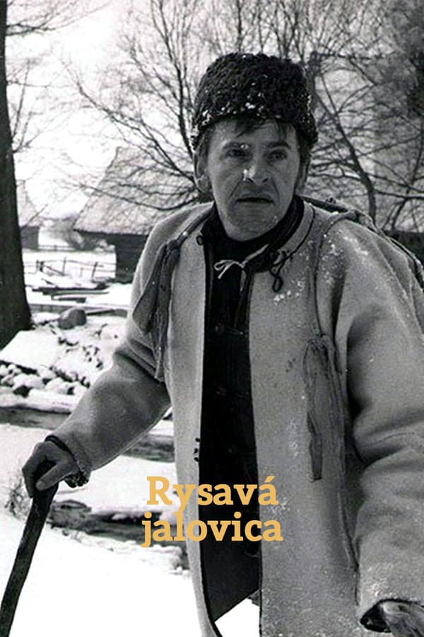 Cover of the movie Rysavá jalovica