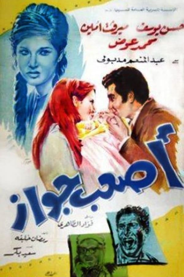 Cover of the movie The hardest marriage