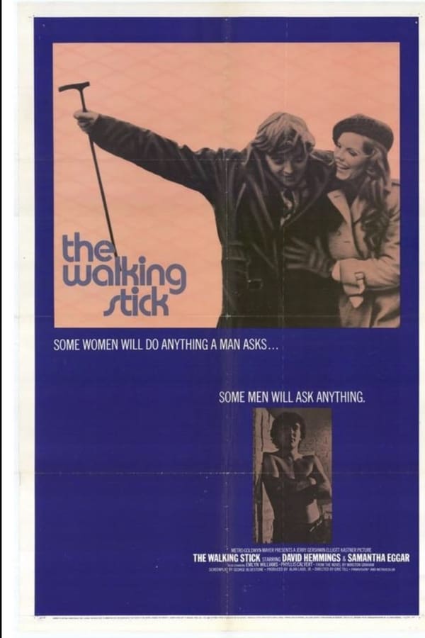 Cover of the movie The Walking Stick