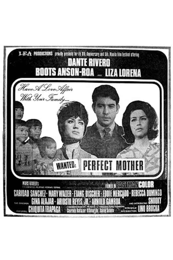 Cover of the movie Wanted: Perfect Mother