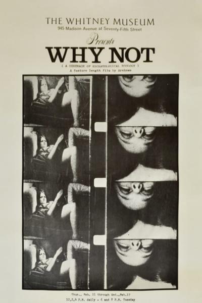 Cover of the movie Why Not: A Serenade of Eschatological Ecology