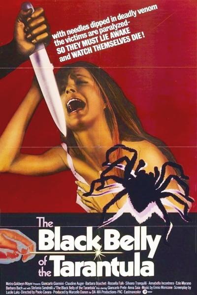 Cover of Black Belly of the Tarantula