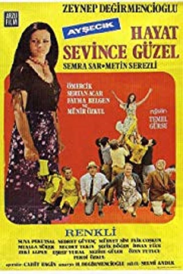 Cover of the movie Hayat Sevince Güzel