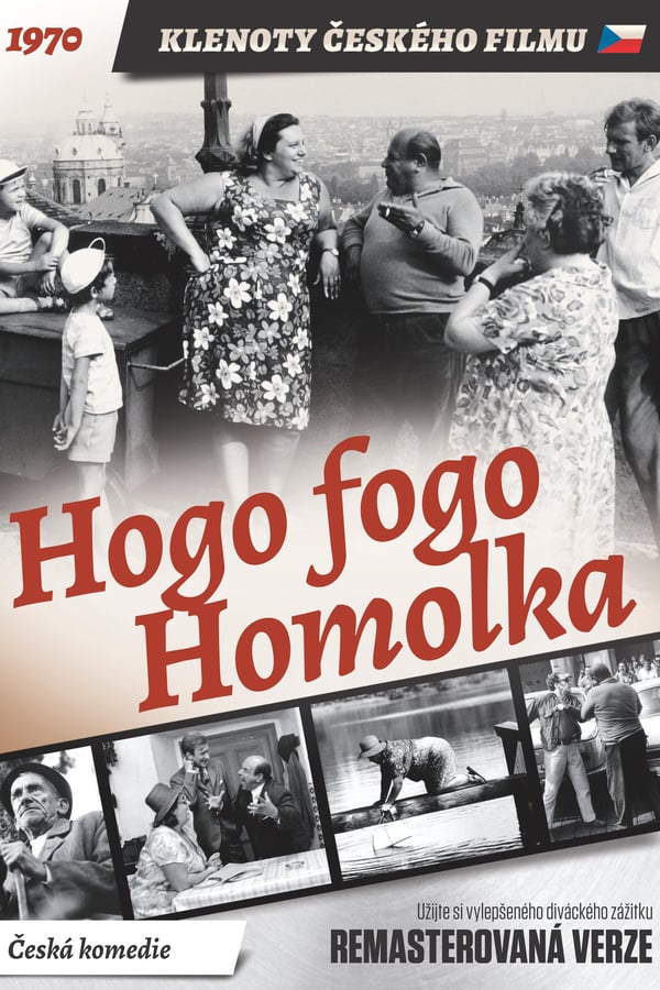 Cover of the movie Hogo Fogo Homolka