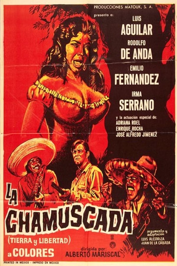 Cover of the movie La chamuscada