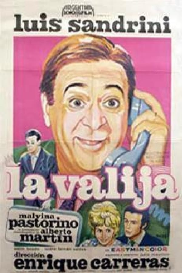 Cover of the movie La valija