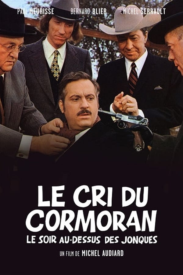 Cover of the movie Le Cri du cormoran, le soir au-dessus des jonques
