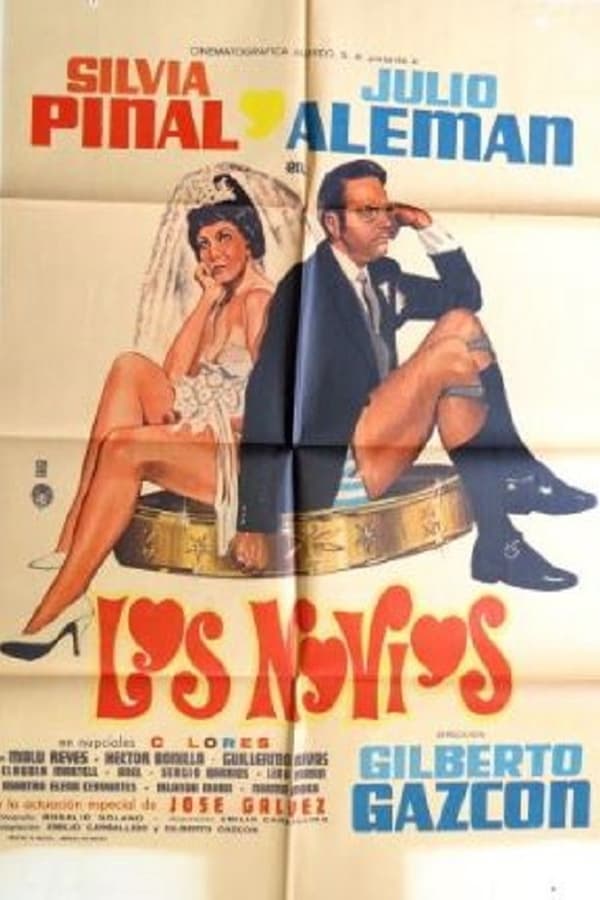 Cover of the movie Los novios